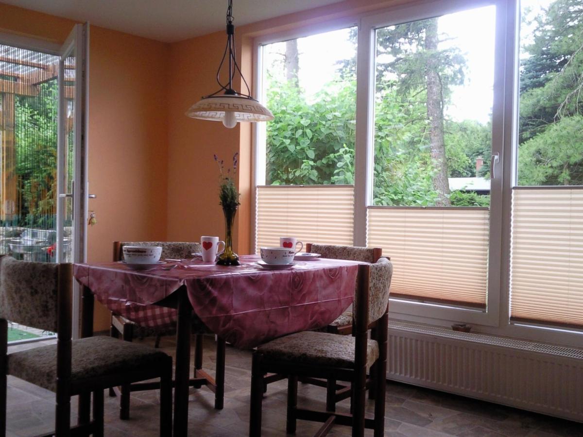Ferienhaus Harzer Bauernhof Thale Ngoại thất bức ảnh